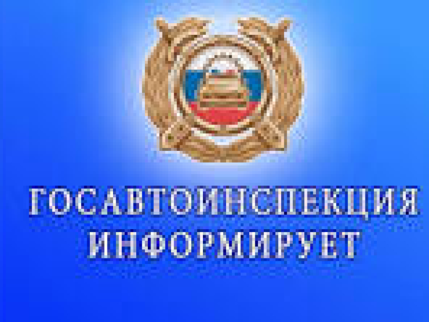 Сохраним жизнь на дороге